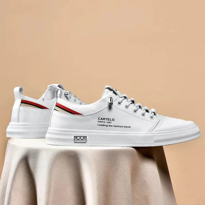 gid://shopify/MediaImage/24691962151006